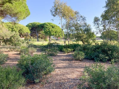 /international/es/chiclana-de-la-frontera-andalusia-310099712713/