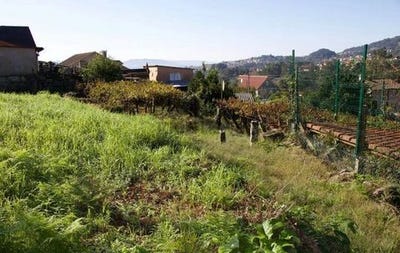 /international/es/moana-galicia-310108162945/