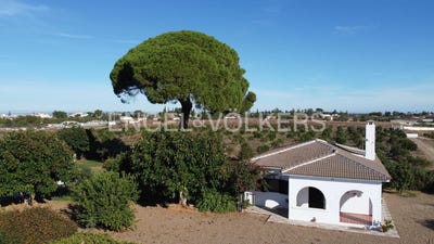 /international/es/sanlucar-la-mayor-andalusia-310100643929/?lang=zh-tw