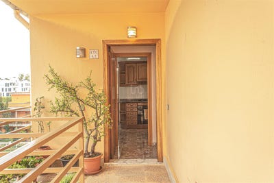 /international/es/calvia-balearic-islands-310100713876/