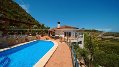 /international/es/oliva-valencian-community-310108953966/