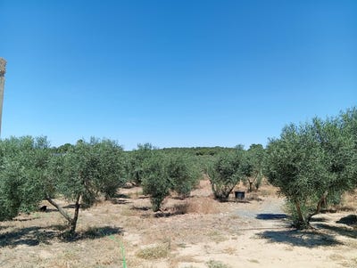 /international/es/villablanca-andalusia-310109147156/