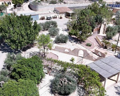 /international/es/crevillent-valencian-community-310105073472/