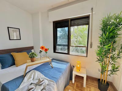 /international/es/carretera-de-canillas-madrid-madrid-310106166009/