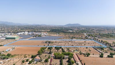 /international/es/lloseta-balearic-islands-310098867565/