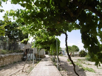 /international/es/yecla-region-of-murcia-310100740350/