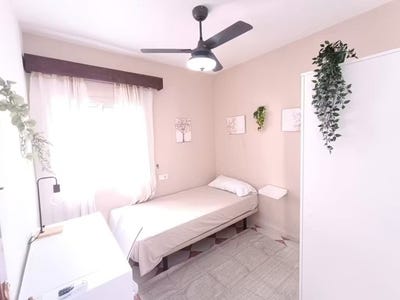 /international/es/calle-chaves-rey-sevilla-andalusia-310108668870/