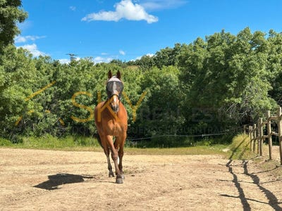 /international/es/miraflores-de-la-sierra-madrid-310100289825/