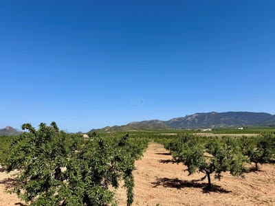 /international/es/poligono-14-parcela-245-rana-ricote-region-of-murcia-310109075308/