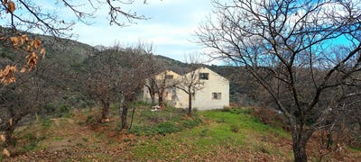 /international/es/juzcar-andalusia-310100642264/?lang=zh-tw