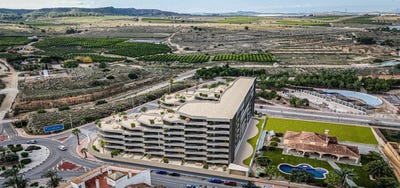 /international/es/san-miguel-de-salinas-alicante-spain-alicante-310110378309/