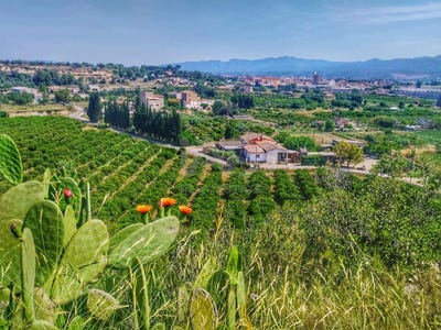 /international/es/poligono-47-parcela-117-roquetes-catalonia-310108456277/