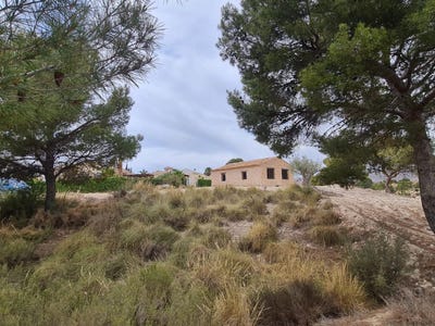 /international/es/abanilla-region-of-murcia-310100737825/?lang=zh-tw