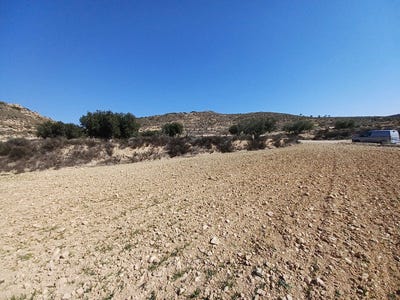 /international/es/pinoso-valencian-community-310106993424/