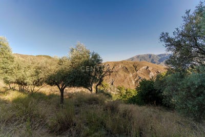 /international/es/carataunas-andalusia-310103538200/