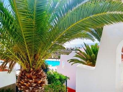/international/es/golf-del-sur-canary-islands-310098703652/