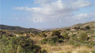 /international/es/el-campello-valencian-community-310101032667/?lang=it