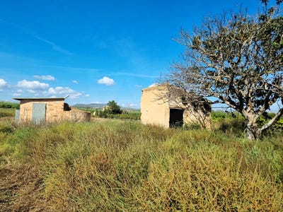 /international/es/poligono-19-parcela-15-ginestar-catalonia-310120158781/
