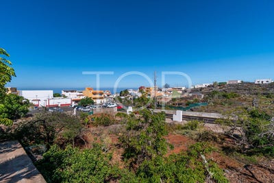 /international/es/guia-de-isora-canary-islands-310101206064/