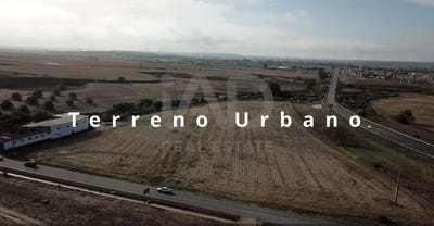 /international/es/carretera-de-trigueros-a-gibraleon-gibraleon-andalusia-310105650448/