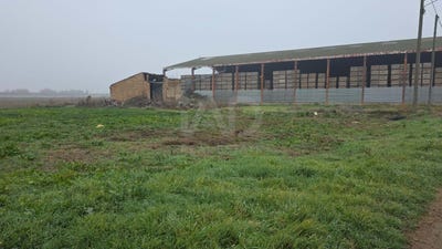/international/es/carrer-de-castellnou-de-seana-vila-sana-catalonia-310108920898/