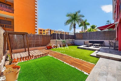 /international/es/palm-mar-canary-islands-310108454306/