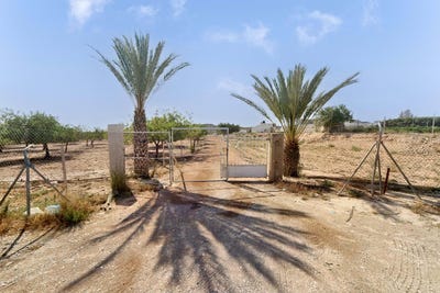 /international/es/alicante-alacant-valencian-community-310101352773/