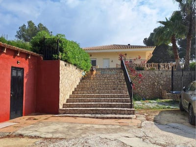 /international/es/l-olleria-valencian-community-310107973663/