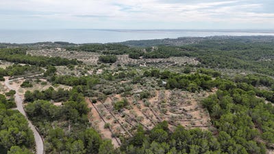 /international/es/el-perello-catalonia-310104230918/