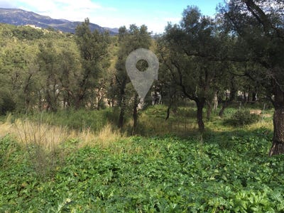/international/es/agullana-catalonia-310102553465/