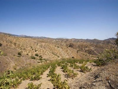 /international/es/sedella-andalusia-120094749199/