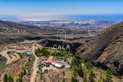 /international/es/vilaflor-canary-islands-310103768963/