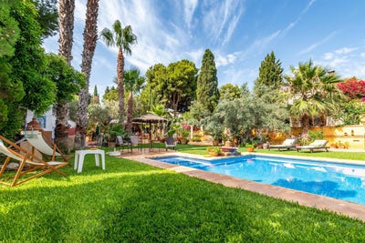 /international/es/alicante-valencian-community-310101175975/?lang=es