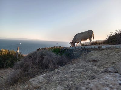 /international/es/tarifa-andalusia-310106481049/
