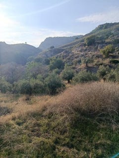 /international/es/alora-andalusia-310104229953/