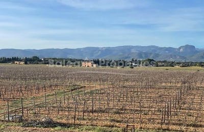 /international/es/santa-maria-del-cami-catalonia-310101498522/?lang=id