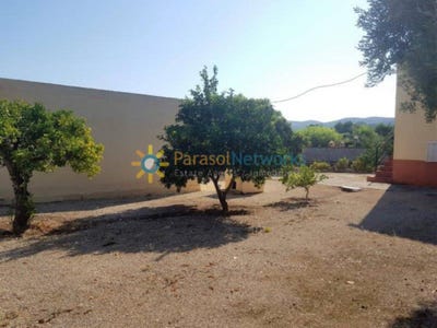 /international/es/ontinyent-valencian-community-310107184274/