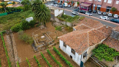 /international/es/tacoronte-canary-islands-310101351578/