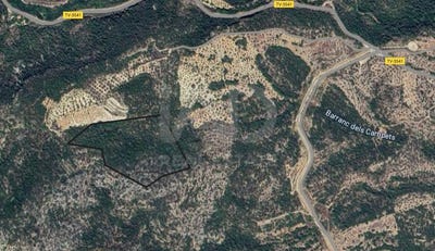 /international/es/poligon-16-parcela-61-xerta-catalonia-310102833893/