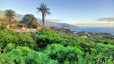 /international/es/brena-baja-canary-islands-310104511333/