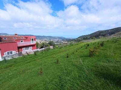 /international/es/santa-brigida-canary-islands-310107703146/