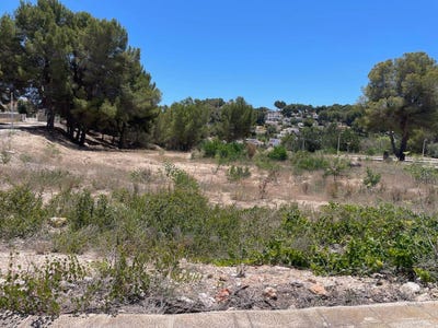 /international/es/moraira-valencian-community-310105073991/