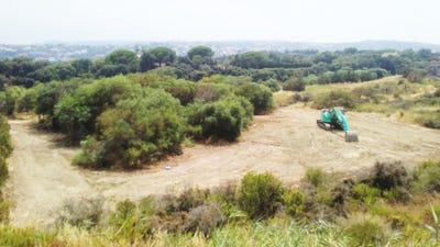 /international/es/sotogrande-andalusia-310106915517/