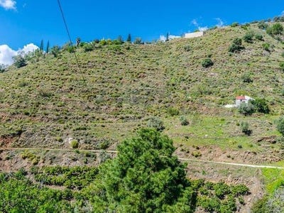 /international/es/competa-andalusia-310100740902/