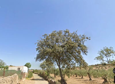 /international/es/badajoz-extremadura-310100671237/