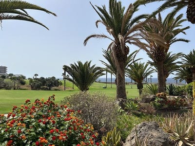 /international/es/golf-del-sur-canary-islands-310108651651/?lang=it