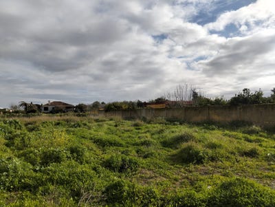 /international/es/camino-de-cabeza-de-la-vaca-sanlucar-de-barrameda-andalusia-310109817293/