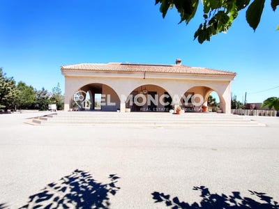 /international/es/crevillent-valencian-community-310108453285/
