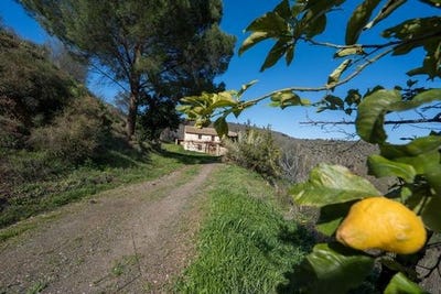 /international/es/colmenar-andalusia-310106545686/