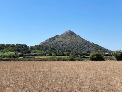 /international/es/45-diseminado-disseminat-5-alcudia-balearic-islands-310101730600/